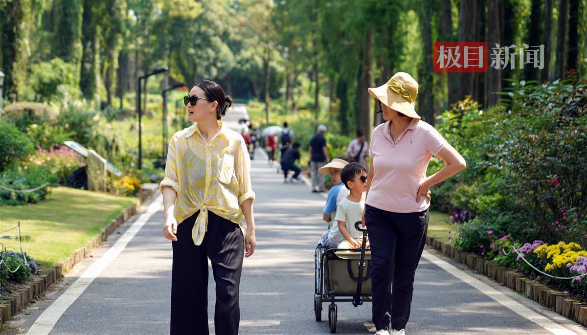 菠萝休闲娱乐